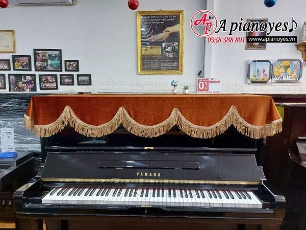 Apianoyes ảnh 2 – Giao diện đẳng cấp thể hiện sự tinh tế trong từng sản phẩm
