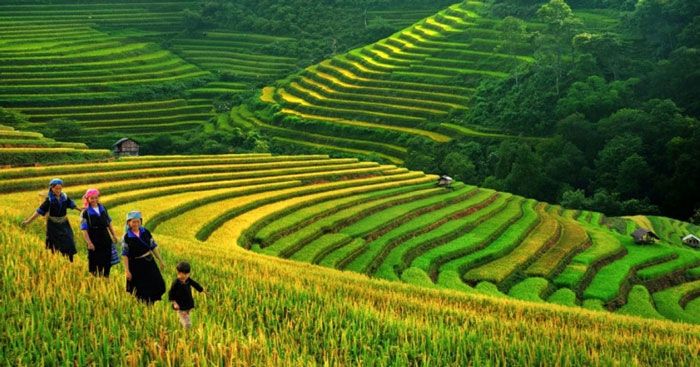 Ảnh minh họa (Nguồn internet) - Hình 1