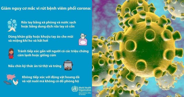 Bệnh viện Việt Nam - Thụy Điển Uông Bí qua góc nhìn ấn tượng (Ảnh 3)