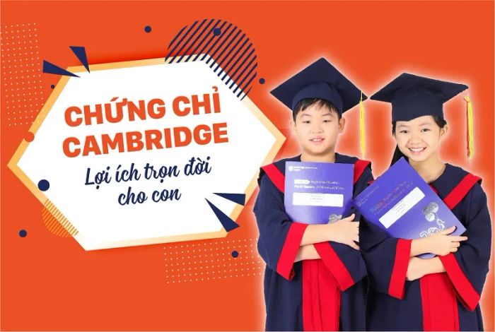Anh Ngữ Âu Mỹ Úc - AVS - Hình ảnh 2