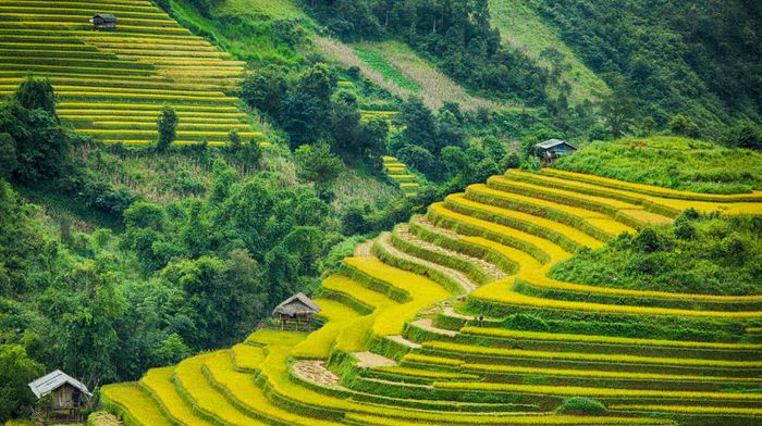 Ảnh minh họa (Nguồn internet) ảnh 1