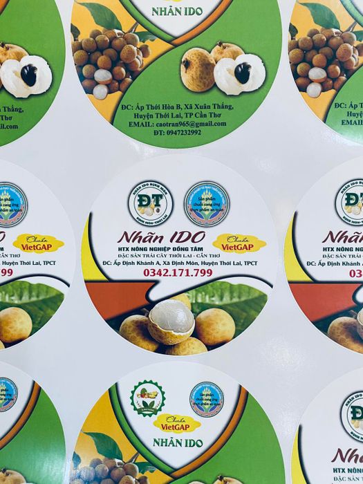 Bộ sưu tập thành phẩm ấn tượng từ Hải Minh Phát