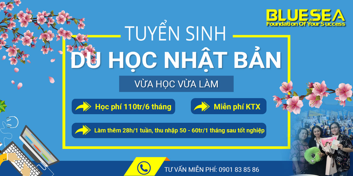 Hình ảnh văn phòng Công ty Tư vấn Du học BlueSea