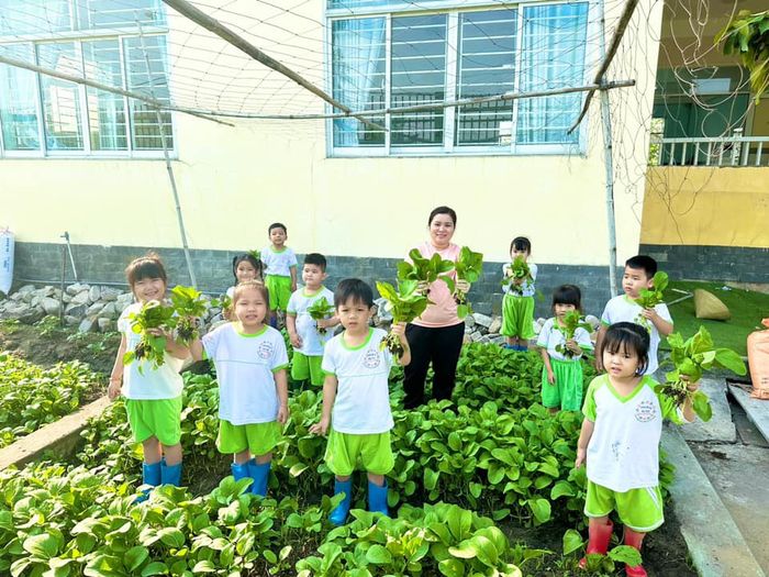 Góc học tập sáng tạo đầy cảm hứng tại Trường Mầm non Mạ Non