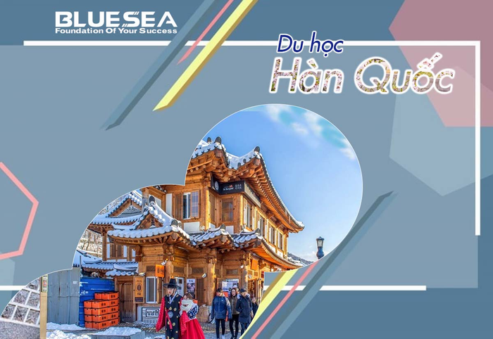 Công Ty Tư Vấn Du Học BlueSea - Hình ảnh 1