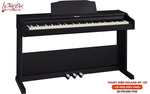 Nhạc cụ Tiến Đạt ảnh 2 – Giao diện cửa hàng thể hiện sự chăm chút từng chi tiết nhỏ nhất