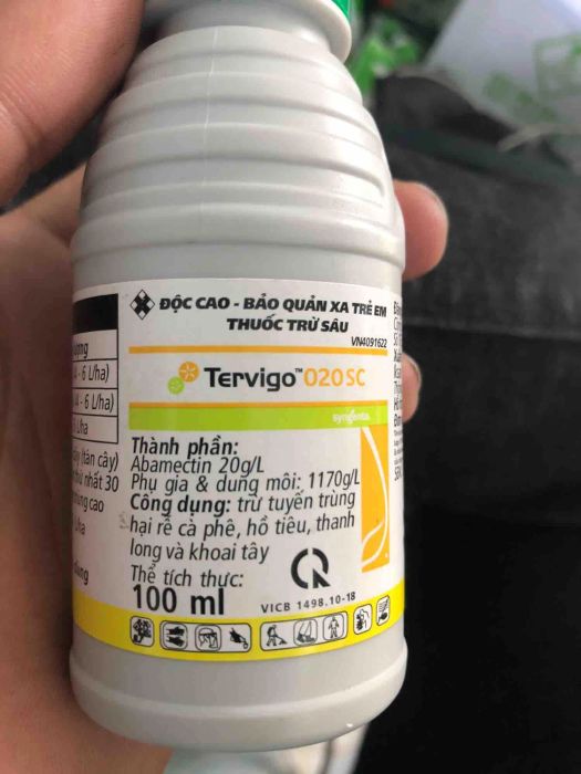 Bộ hình minh họa hiệu quả Tervigo trên các loại cây trồng
