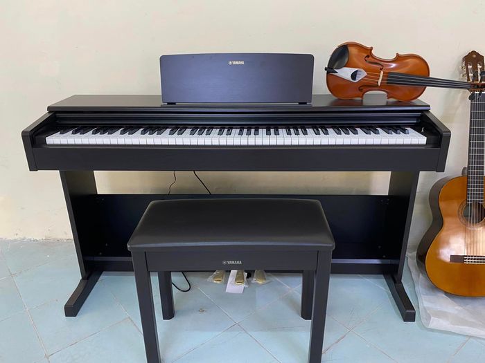 Không gian trưng bày nhạc cụ đẳng cấp tại Nhạc Cụ Hảo Vĩnh