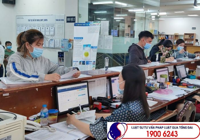 Hình ảnh Luật Sao Việt số 1
