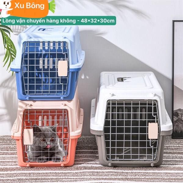 Không gian mua sắm sang trọng tại XU BÔNG Pet Shop - Ảnh 1