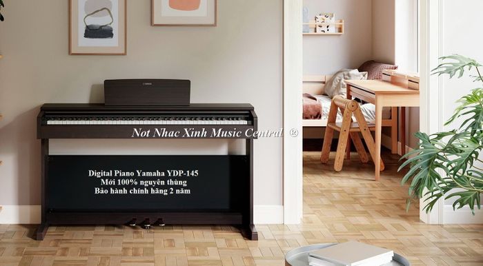 Không gian trưng bày đàn piano tại Nốt nhạc xinh