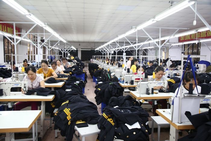 Xưởng may sỉ ảnh 1