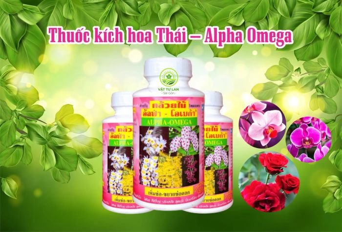 Hình ảnh minh họa: Dung dịch kích hoa Alpha Omega chai 250ml sang trọng