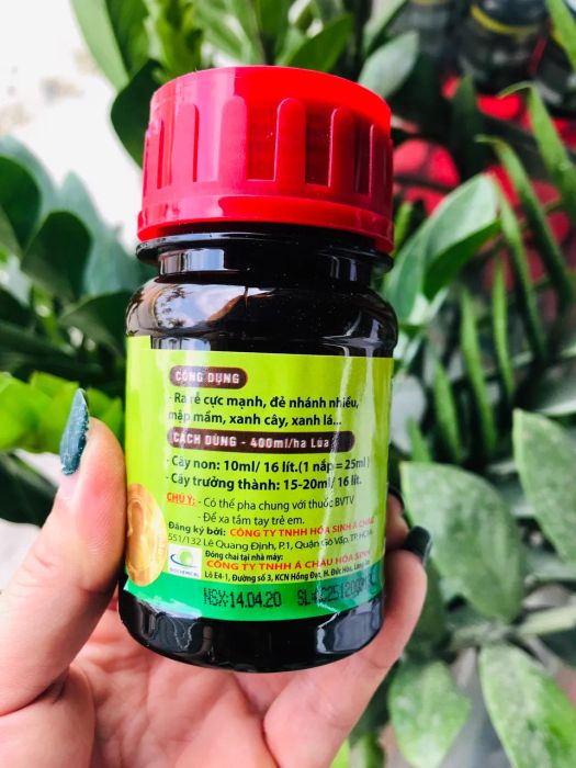 Hình ảnh sản phẩm ACROOTS 10SL cao cấp