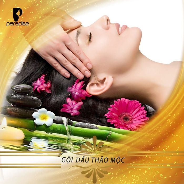 Quy trình gội đầu thảo dược chuyên nghiệp tại DOLLY SPA