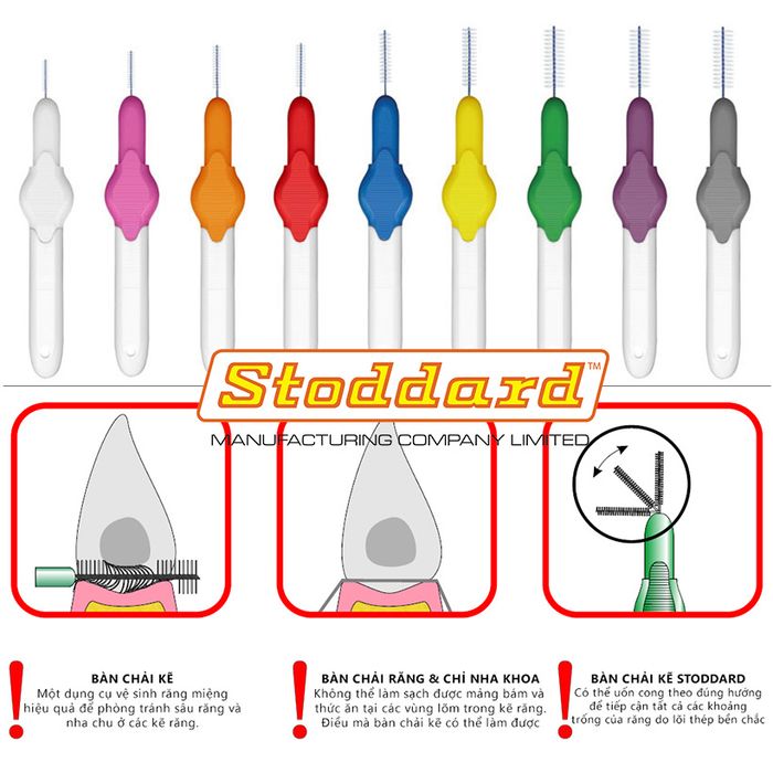 Hình ảnh bàn chải Stoddard - Thiết kế chuẩn Anh Quốc