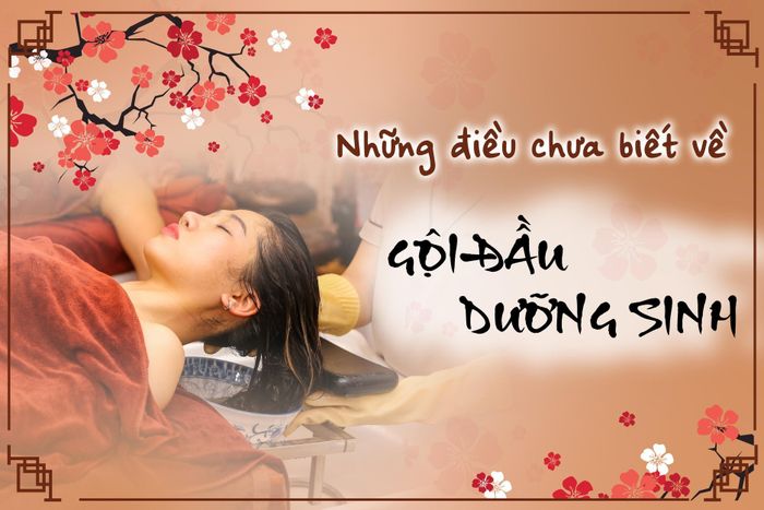 Không gian trị liệu đậm chất Đông y tại Dưỡng Sinh Trường Minh