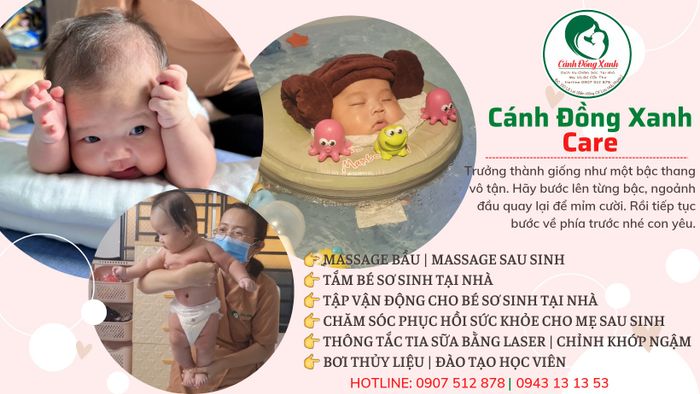 Ảnh Cánh Đồng Xanh Care 1