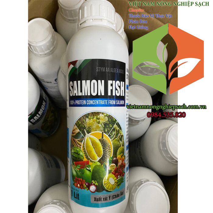 Hình ảnh minh họa SALMON FISH – PHÂN BÓN HỮU CƠ