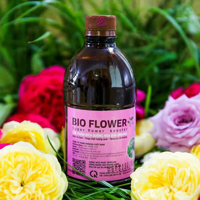 Hình ảnh minh họa phân bón lá Bio Flower cho hoa hồng