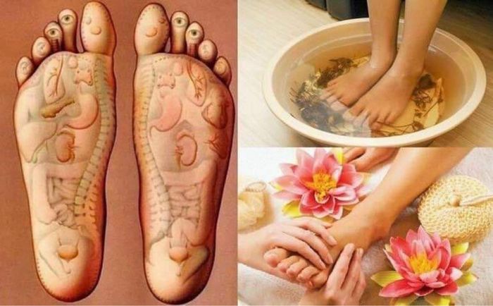 Khoảnh khắc thư giãn tuyệt đỉnh tại Hana Spa - Dưỡng Sinh Đông Y (Ảnh 3)