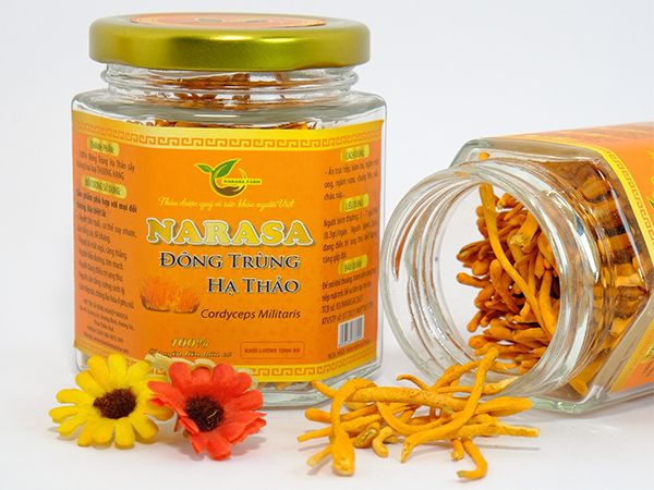 Hình ảnh sản phẩm Đông Trùng Hạ Thảo Narasa (ảnh 1)