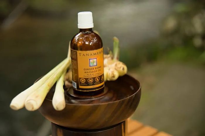 Hình ảnh chân thực dầu massage gừng Tanamera