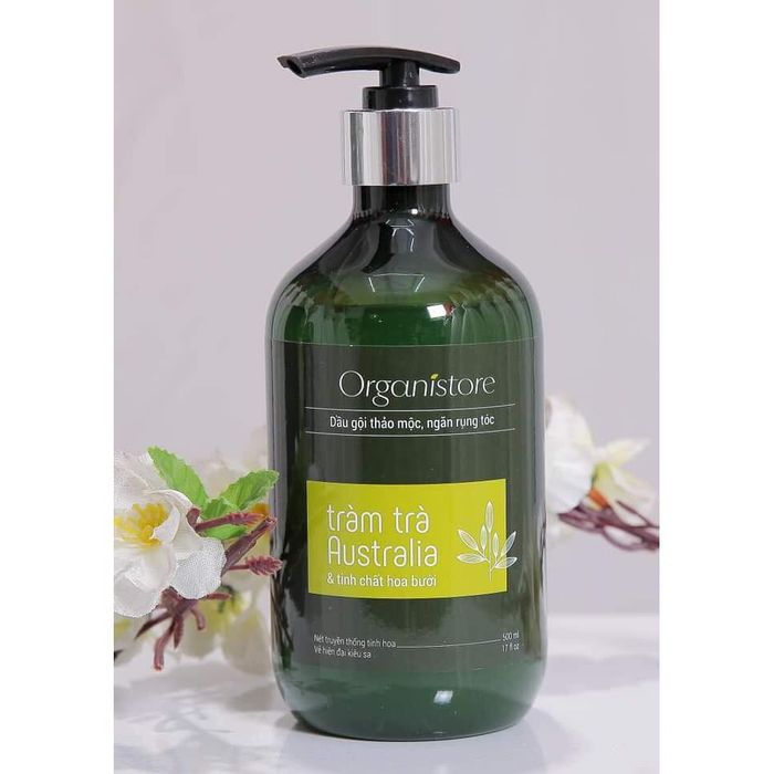 Dầu Gội Thảo Mộc Organistore - Hình ảnh 1