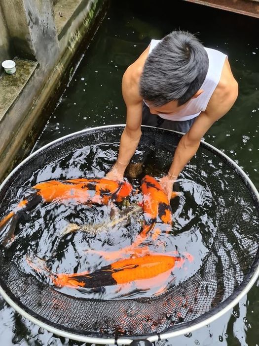 Khoảnh khắc đẹp tại Onkoi Quang Minh - Nơi nghệ thuật và đam mê hội tụ