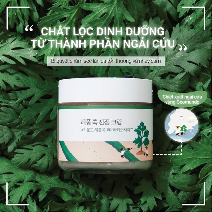 Kem Dưỡng Ẩm, Làm Dịu Da Cho Da Nhạy Cảm Chiết Xuất Ngải Cứu ROUNDLAB Mugwort Calming Cream - Hình ảnh 2