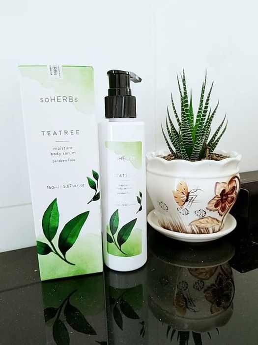 Hình ảnh sản phẩm soHERBs Teatree Serum - Tinh chất trà xanh chăm sóc body toàn diện