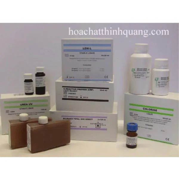 Hình ảnh sản phẩm và quy trình kiểm định chất lượng
