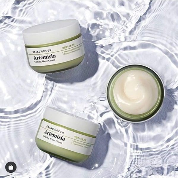 Kem Dưỡng Ngải Cứu Bring Green Artemisia Calming Water Cream - Hình ảnh 2