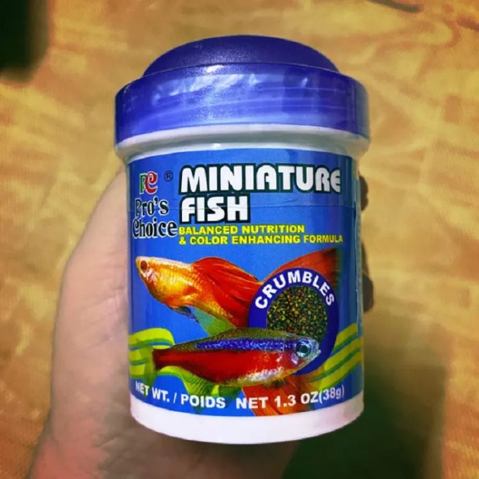 Hình ảnh cám cá bảy màu Miniature cao cấp