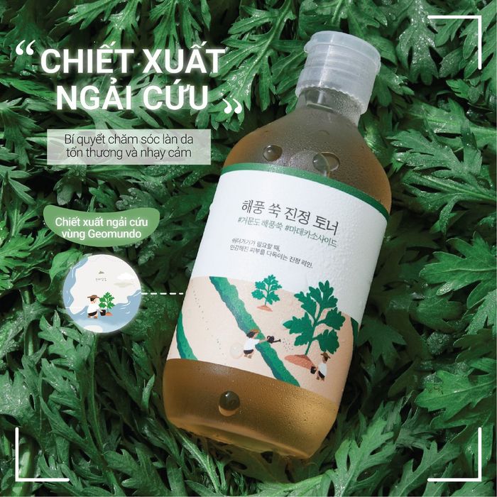 Hình ảnh thực tế Round Lab Mugwort Calming Serum - Tinh chất ngải cứu làm dịu da vượt trội