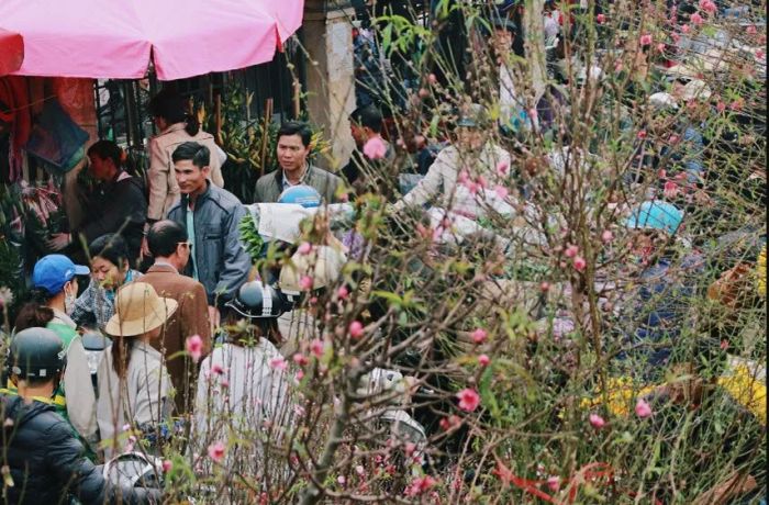 Không gian rực rỡ của chợ hoa ngày Tết (Nguồn: internet)