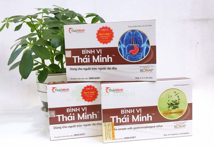 Hình ảnh chi tiết Bình Vị Thái Minh