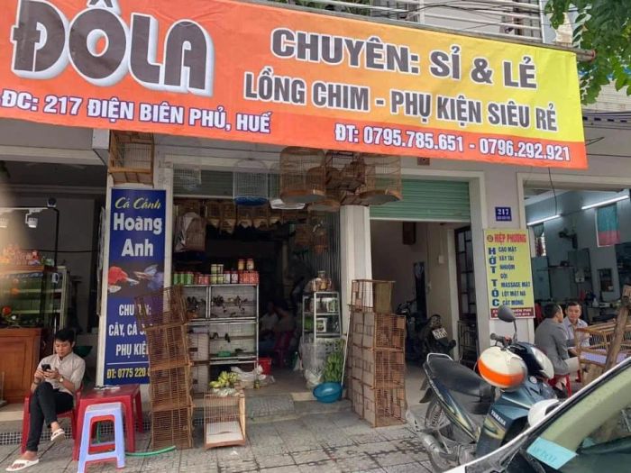 Lồng Chim Đô La - Hình ảnh 1