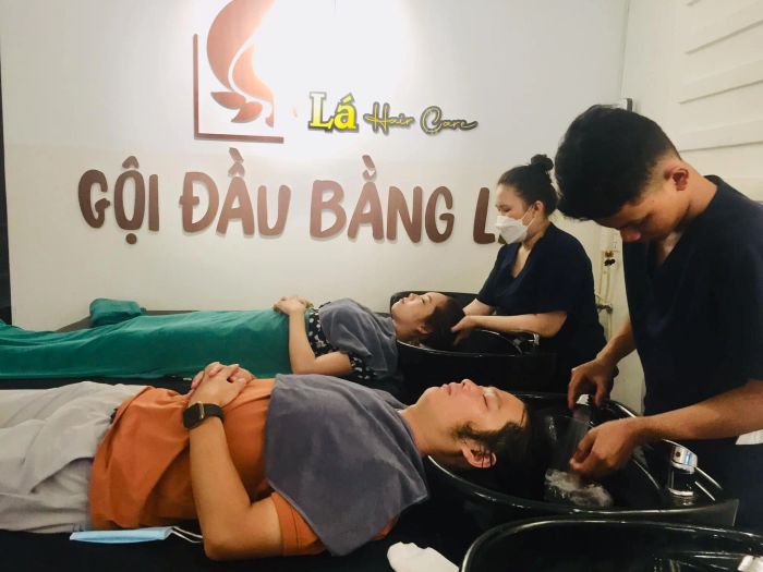 Gội Đầu Bằng Lá ảnh 2