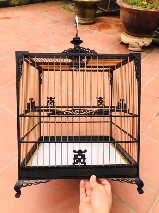 Lồng Chim Cố Đô - Hình ảnh 1
