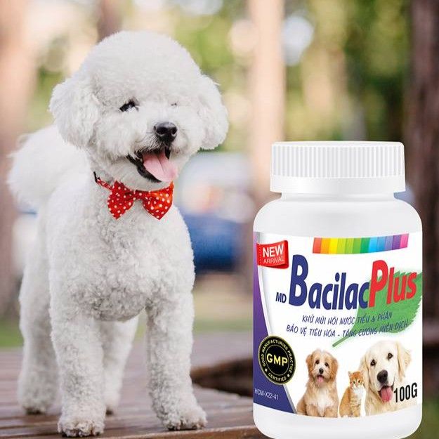 Hình ảnh MEN VI SINH BACILAC PLUS