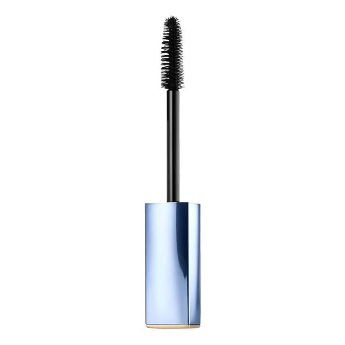 Hình ảnh chi tiết cọ chải Estée Lauder Pure Color Envy