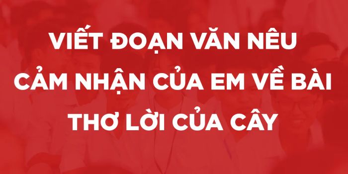 Hình ảnh minh họa sống động (Nguồn: Tổng hợp)
