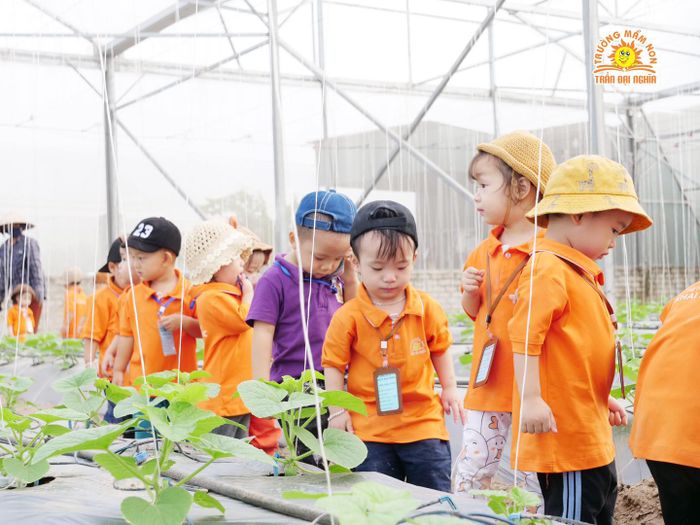 Hình ảnh 1 Trường Mầm non Trần Đại Nghĩa - Khuôn viên xanh mát