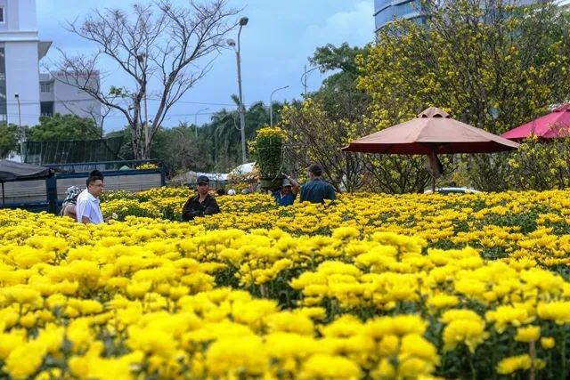Không gian rực rỡ chợ hoa ngày Tết (Nguồn: internet)