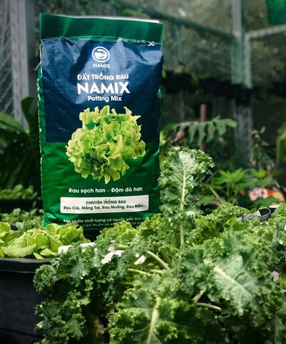 Hình ảnh thực tế ứng dụng đất trồng rau Namix (ảnh 2)