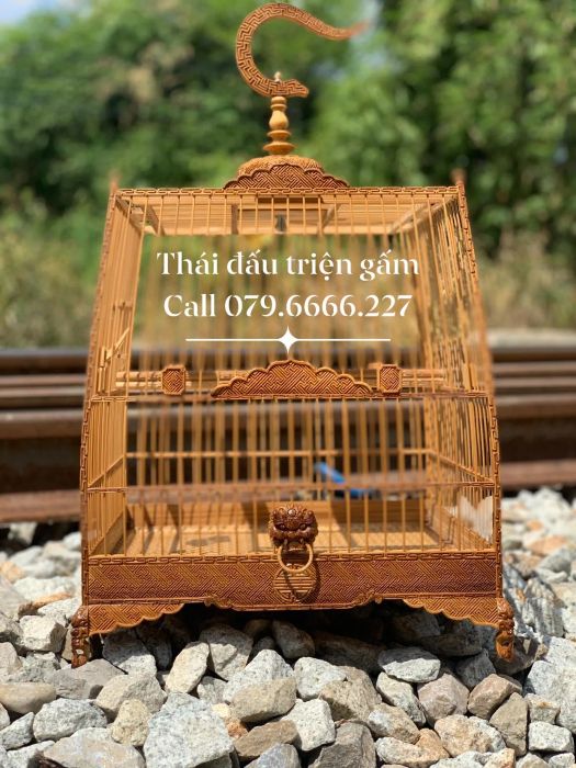Lồng Chim Huế - Hình ảnh 1