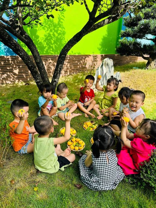Hình ảnh 1 Trường Mầm Non Họa My - Khuôn viên xanh mát