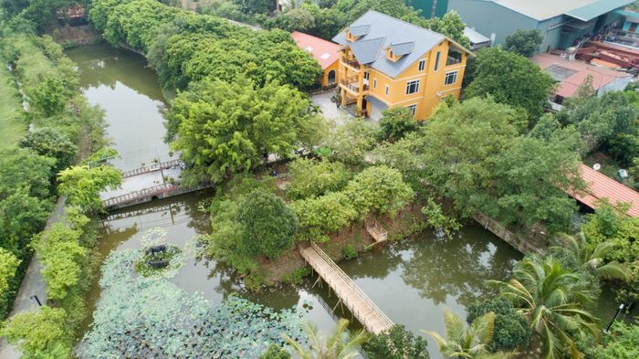 Wehome Rừng Sưa - Kiến trúc tinh tế giữa rừng sưa cổ thụ
