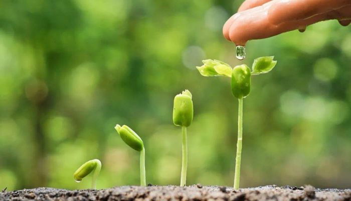 Hình ảnh minh họa đầy cảm hứng (Nguồn: Sưu tầm)